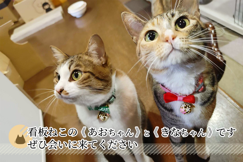 ホテル三幸園 周辺案内